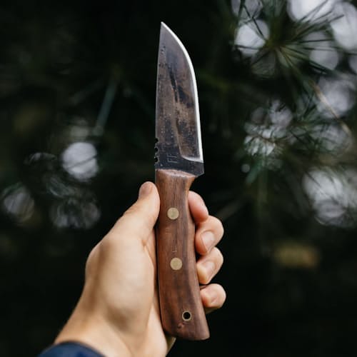 laydown image of Walnut Vagabond Sportsman's Knife