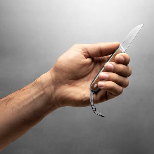 laydown image of The Pike Pocket Knife - Exclusive
