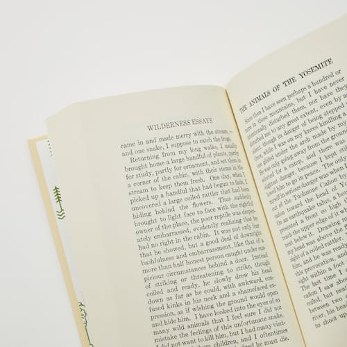 laydown image of Wilderness Essays