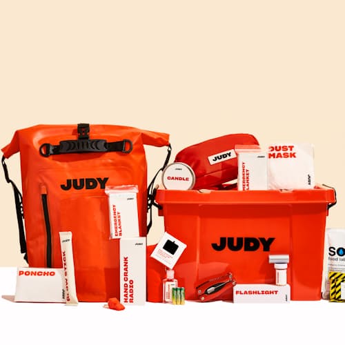laydown image of The Judy Ready System