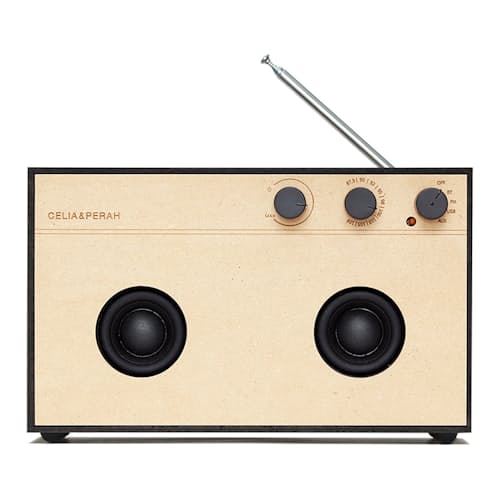 laydown image of R3 DIY Bluetooth Speaker