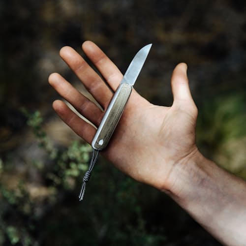 laydown image of The Pike Pocket Knife