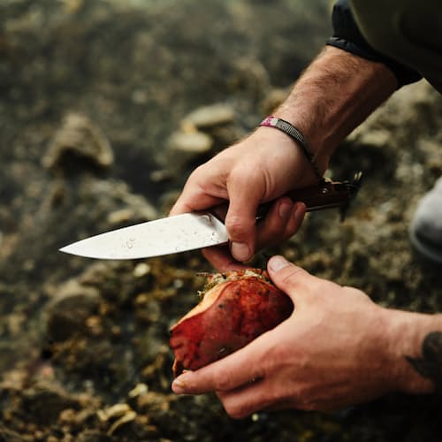laydown image of The Hells Canyon Chef Knife - Exclusive