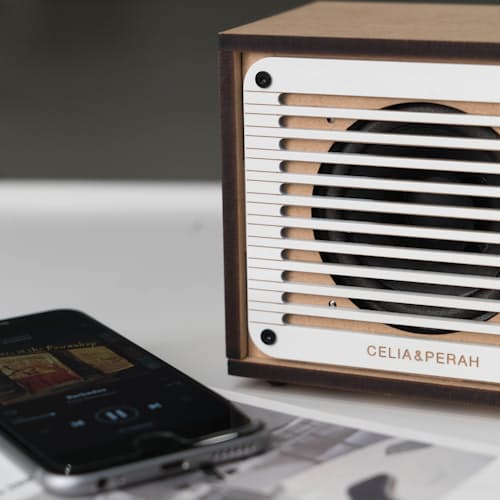 laydown image of DIY Bluetooth Classic Radio