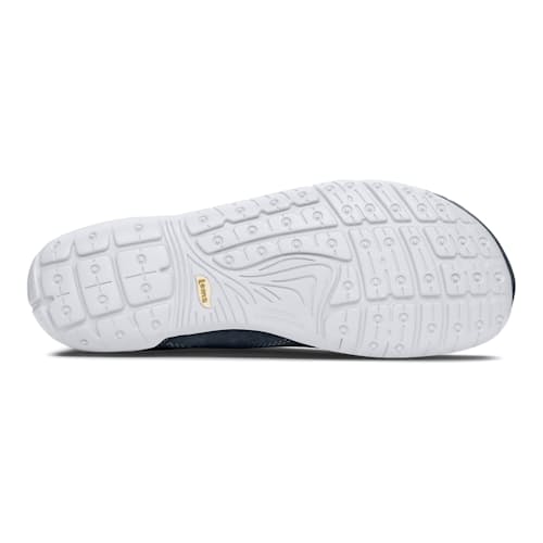 laydown image of Primal 2 Sneaker