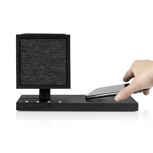 laydown image of Revive Speaker and Charger