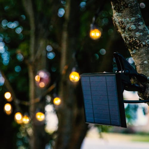 laydown image of Ambience Pro Solar - Non Hanging String Lights