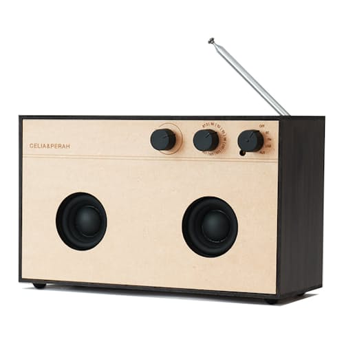 laydown image of R3 DIY Bluetooth Speaker