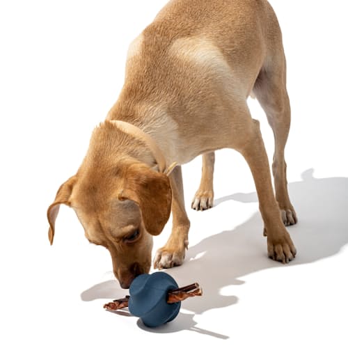laydown image of All Natural Dog Toy Kit