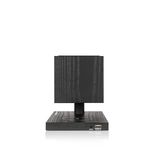 laydown image of Revive Speaker and Charger