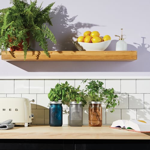 laydown image of Organic Herb Garden Jar Set