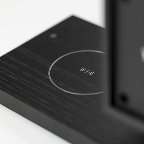 laydown image of Revive Speaker and Charger