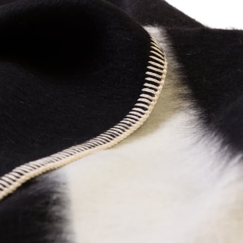 laydown image of Siempre