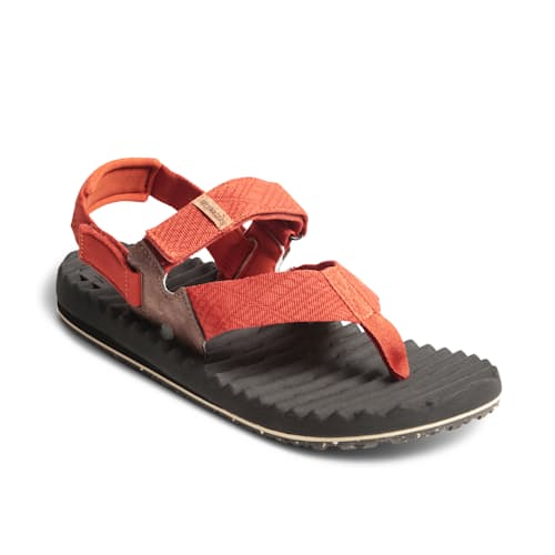 laydown image of Treeline Sport