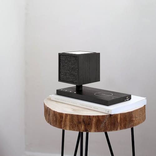 laydown image of Revive Speaker and Charger