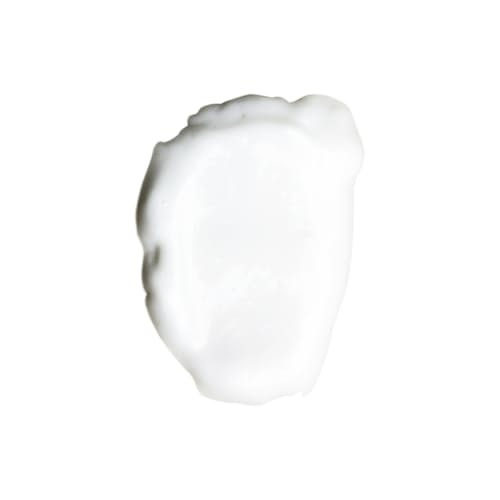 laydown image of Everyday Face Moisturizer