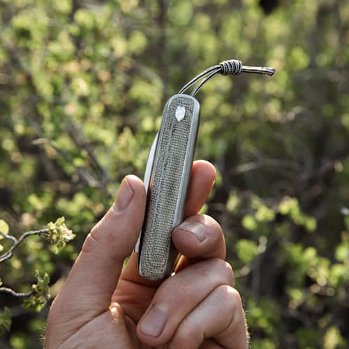 laydown image of The Pike Pocket Knife