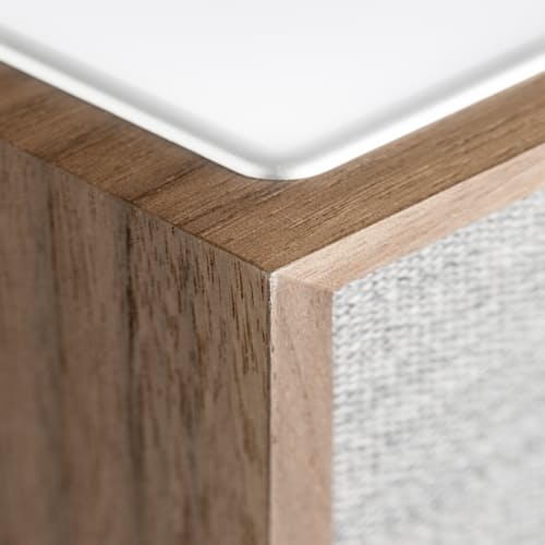 laydown image of Revive Speaker and Charger