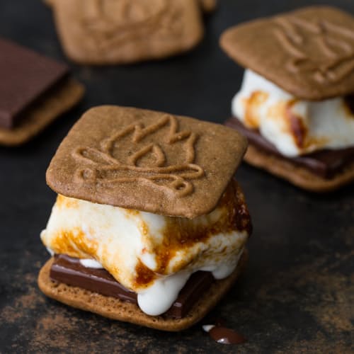 laydown image of Speculoos S'Mores Kit