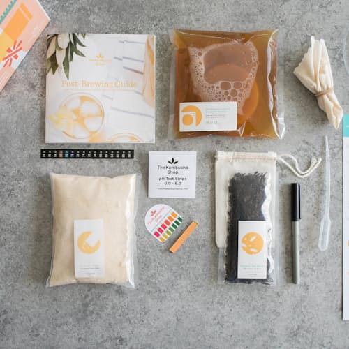 laydown image of Kombucha Brewing Kit