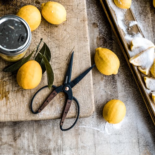 lifestyle image of Large Garden Scissors