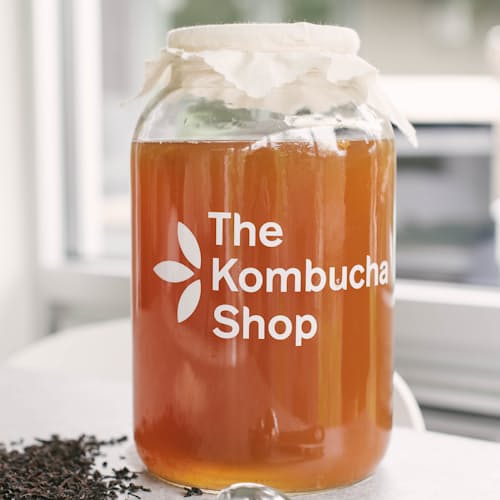 laydown image of Kombucha Brewing Kit