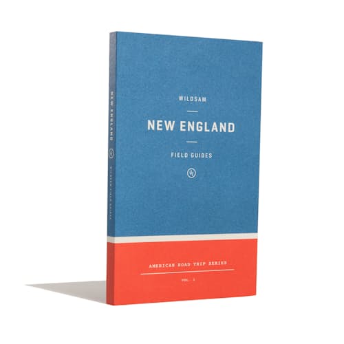 laydown image of New England Road Trip Guide