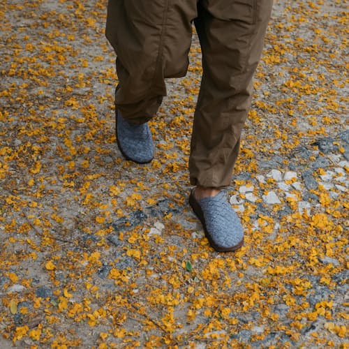 laydown image of Colony