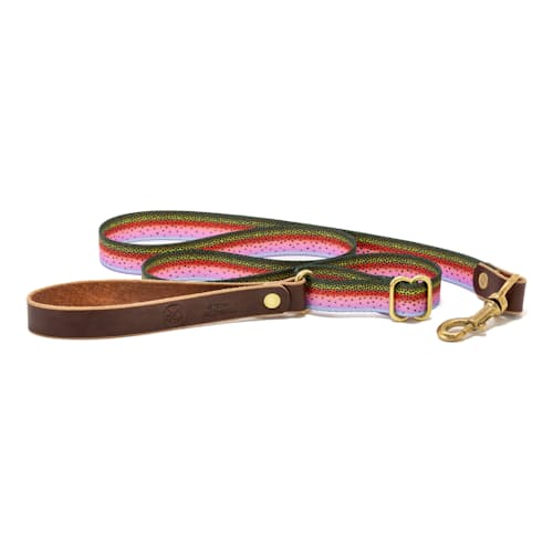 laydown image of Adjustable Length Fish Print Dog Leash