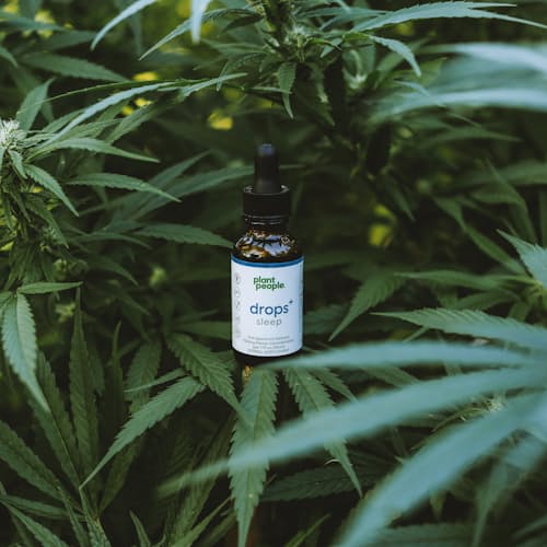 laydown image of Sleep CBD Kit