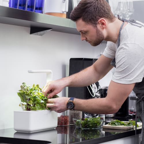 laydown image of Mini Smart Garden