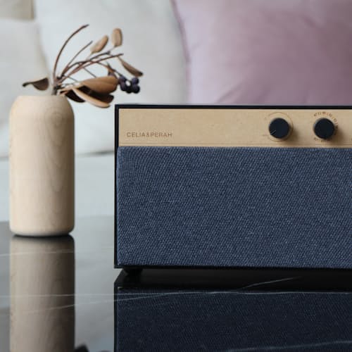 laydown image of R3 DIY Bluetooth Speaker
