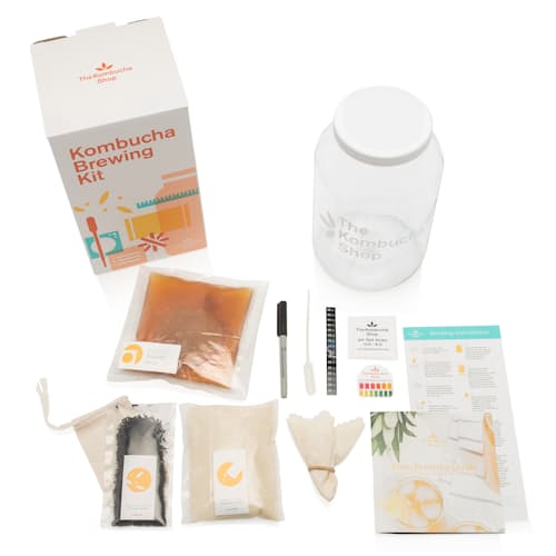 laydown image of Kombucha Brewing Kit
