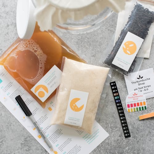 laydown image of Kombucha Brewing Kit