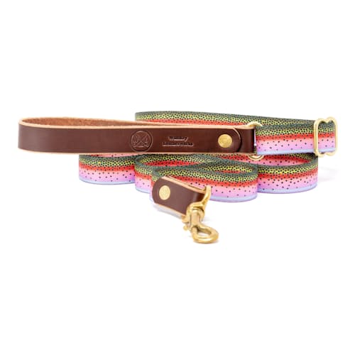 laydown image of Adjustable Length Fish Print Dog Leash