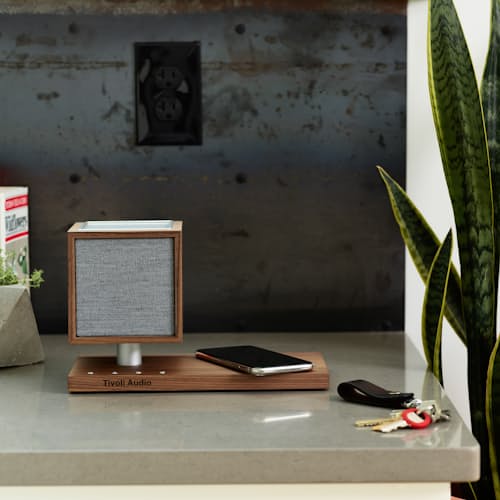 laydown image of Revive Speaker and Charger