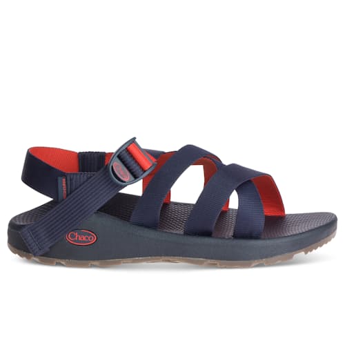 laydown image of Banded Z/ Cloud Sandal
