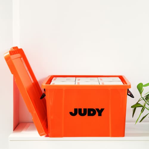 laydown image of The Judy Ready System