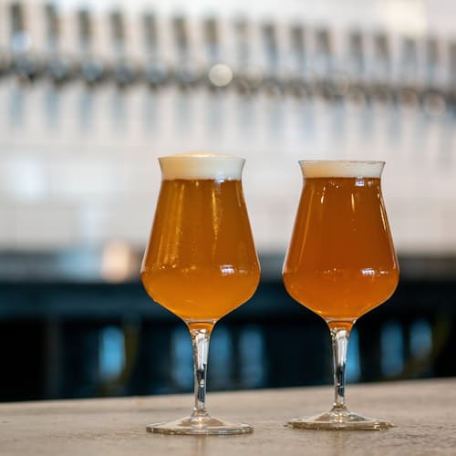 laydown image of TeKu Beer Glasses - Set of 4