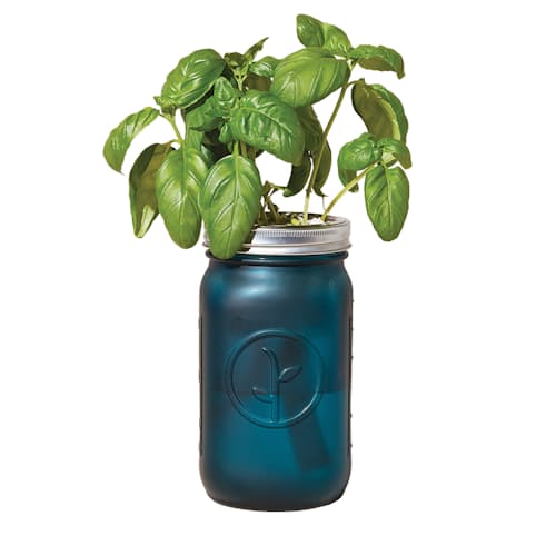 laydown image of Organic Herb Garden Jar Set
