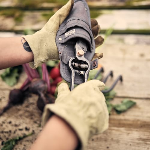 lifestyle image of Pruner & Sheath
