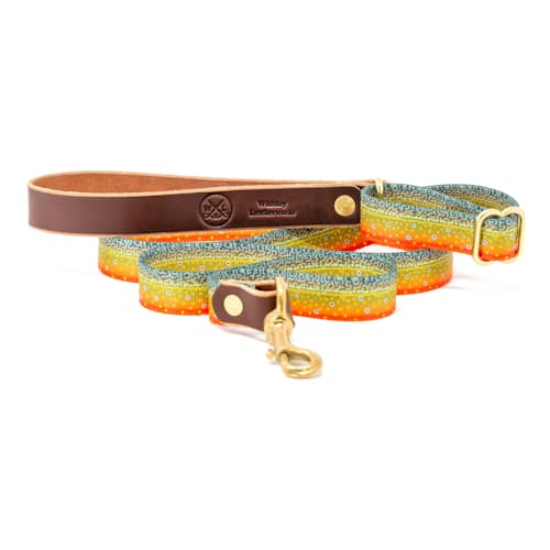 laydown image of Adjustable Length Fish Print Dog Leash