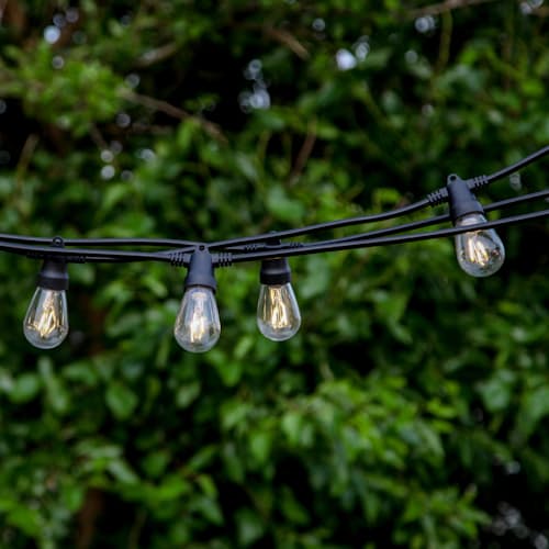 laydown image of Ambience Pro Solar - Non Hanging String Lights