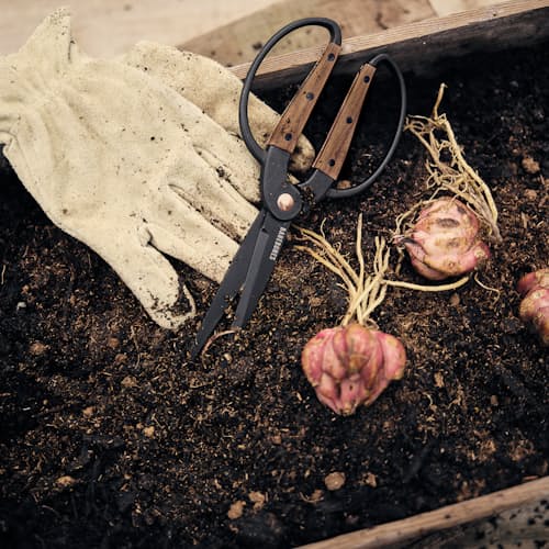 lifestyle image of Large Garden Scissors
