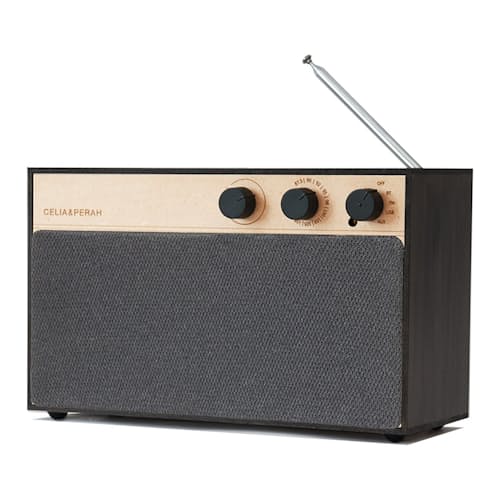 laydown image of R3 DIY Bluetooth Speaker