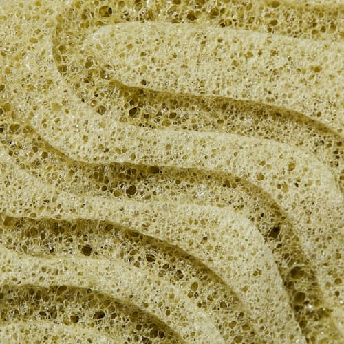 laydown image of The Orijin Sponge