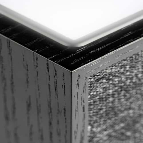 laydown image of Revive Speaker and Charger