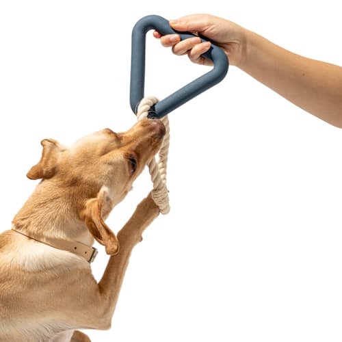 laydown image of All Natural Dog Toy Kit