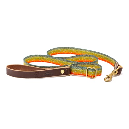 laydown image of Adjustable Length Fish Print Dog Leash