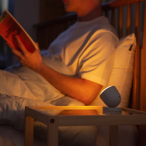 laydown image of Olly Night